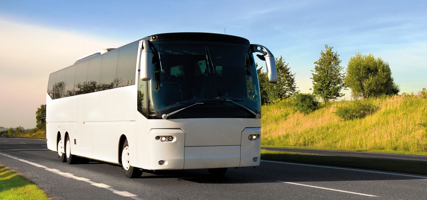 download local bus tour companies